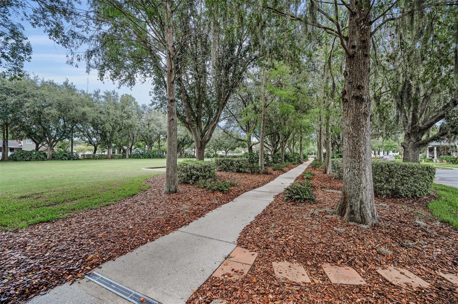 10403 MICANOPY ST — photo 62