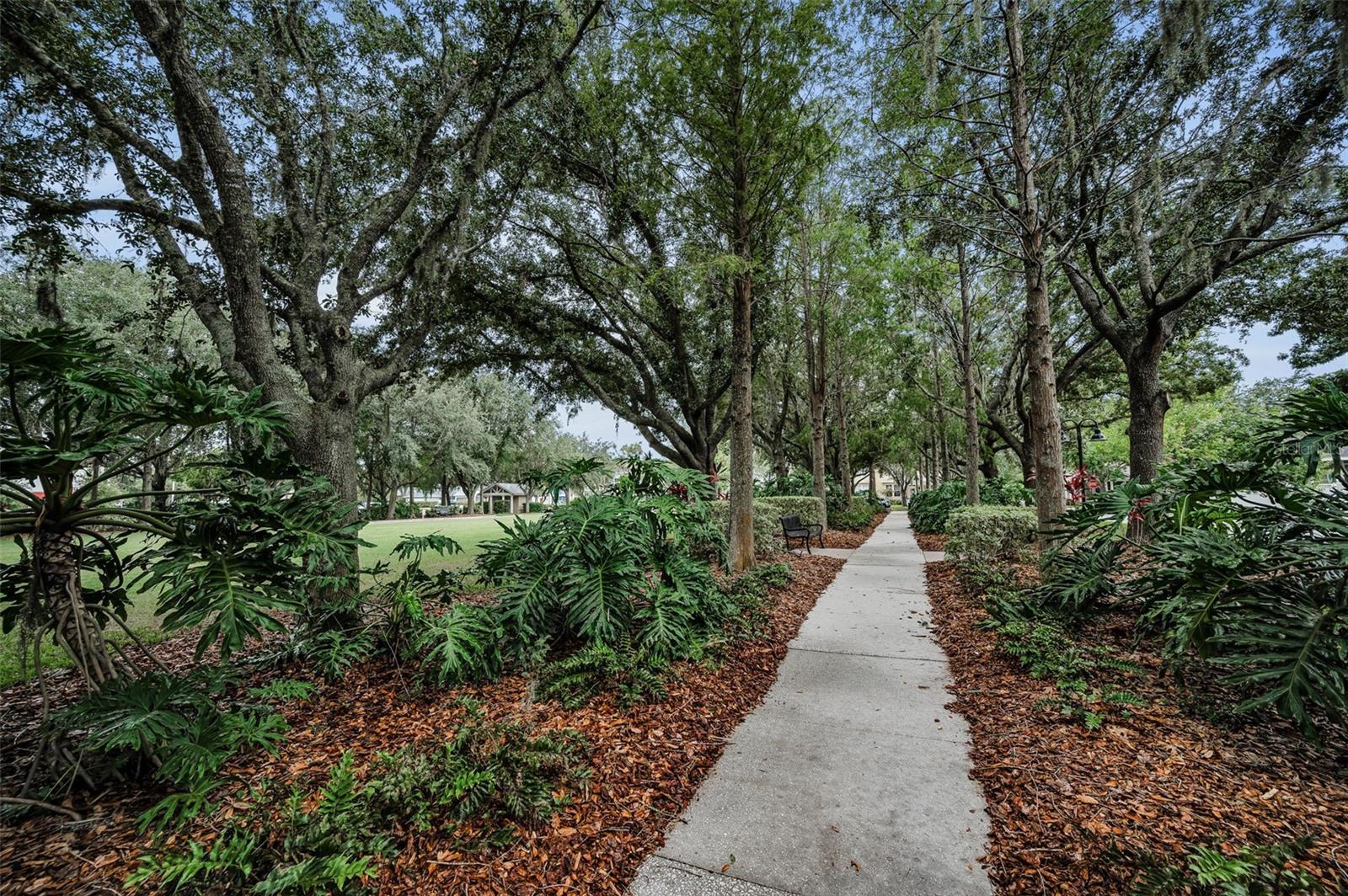 10403 MICANOPY ST — photo 67
