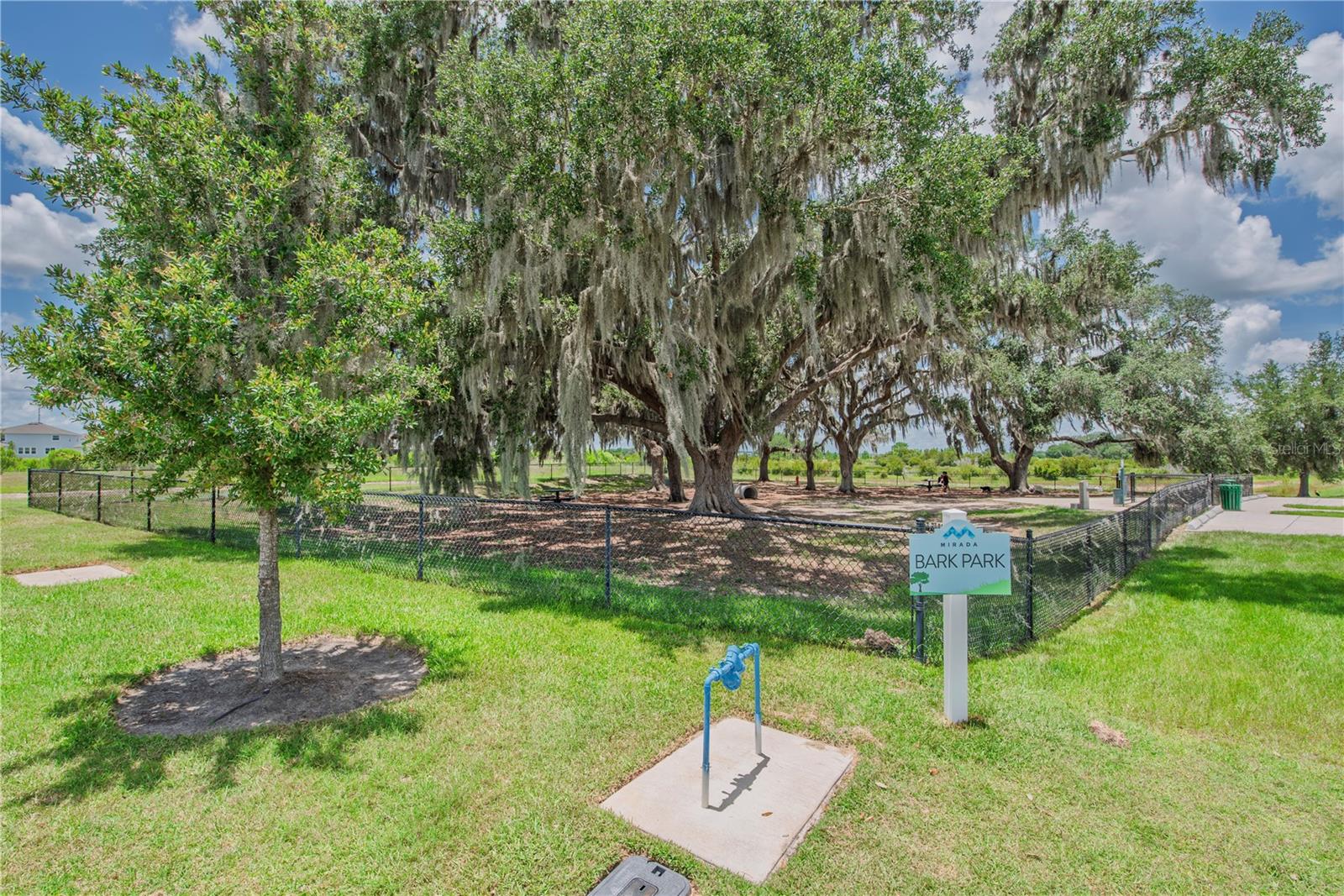 10706 TORCHWOOD SEA WAY — photo 48