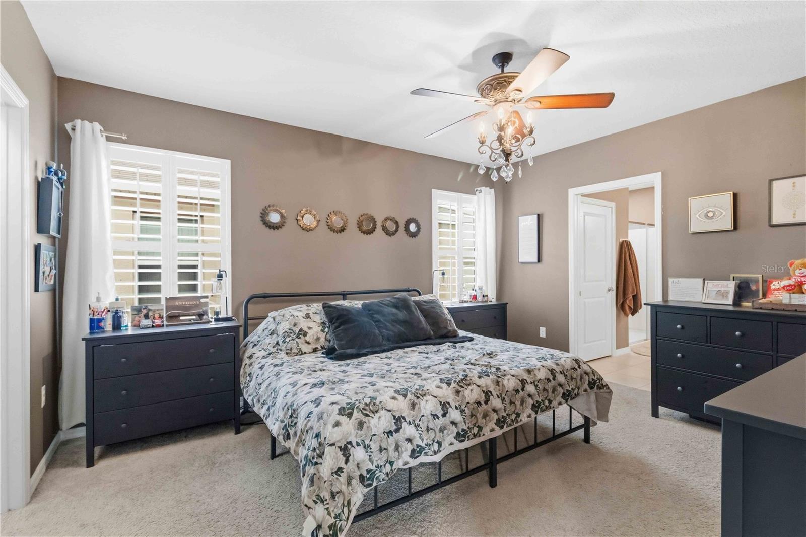 10230 GEESE TRAIL CIR — photo 20
