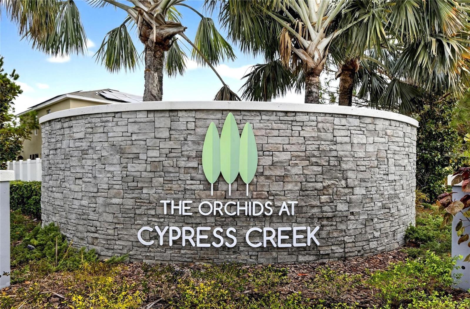 10230 GEESE TRAIL CIR — photo 38