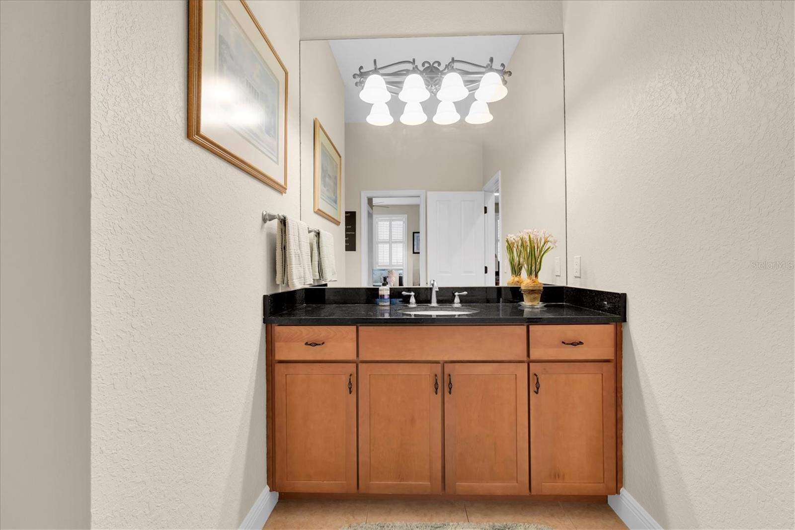 16301 DUNLINDALE DR — photo 44