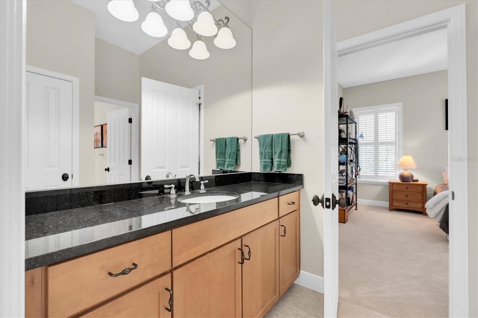 16301 DUNLINDALE DR — photo 47
