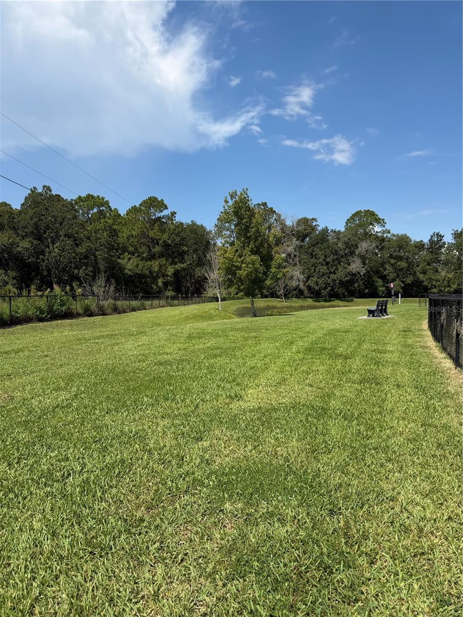 36101 STABLE WILK AVE — photo 21