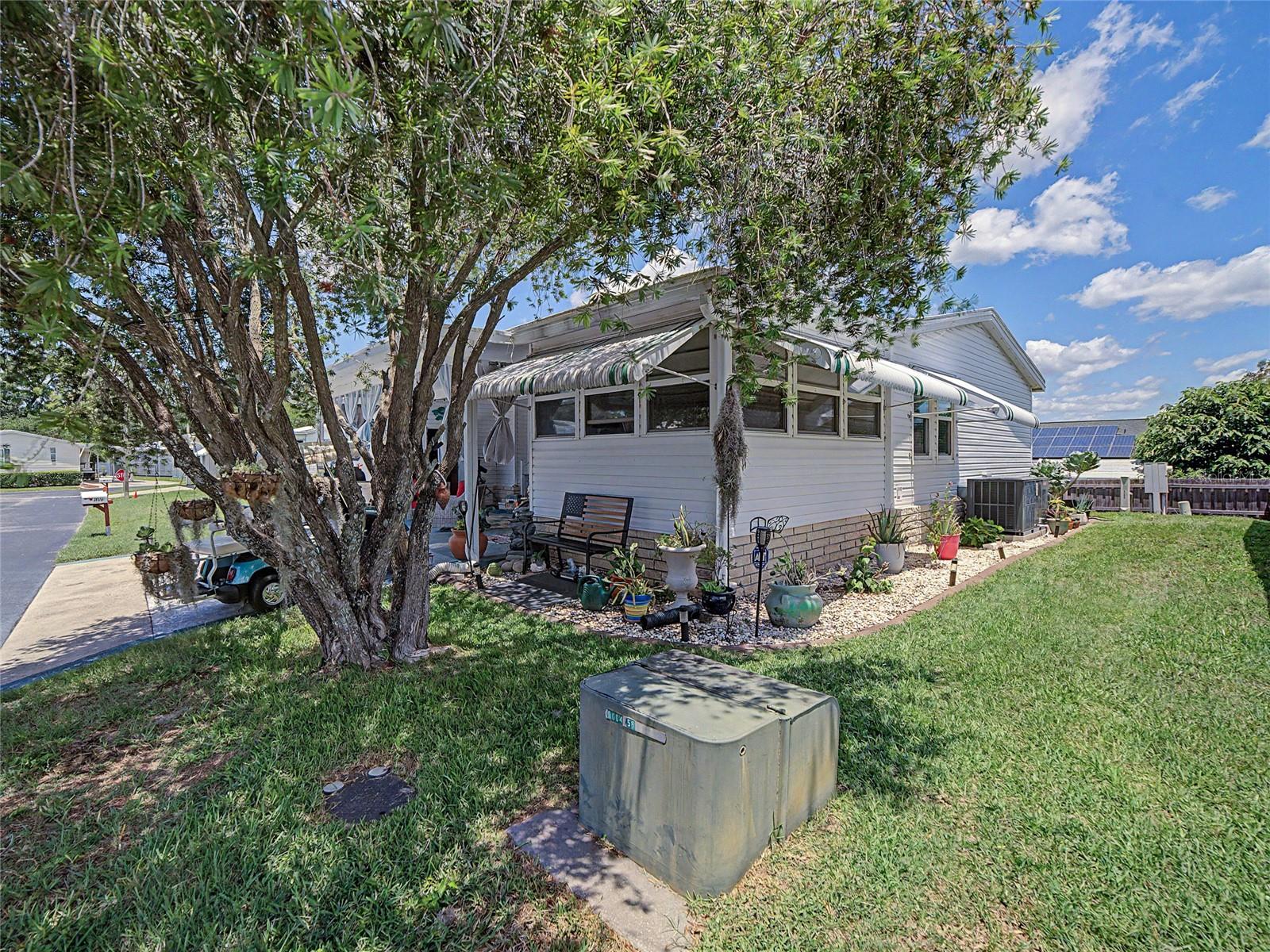 37513 CAMPO AVE — photo 7