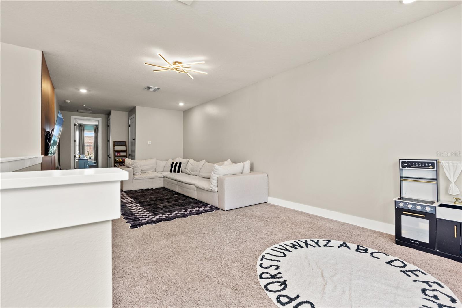 8761 DRUMMER PLANK DR — photo 52