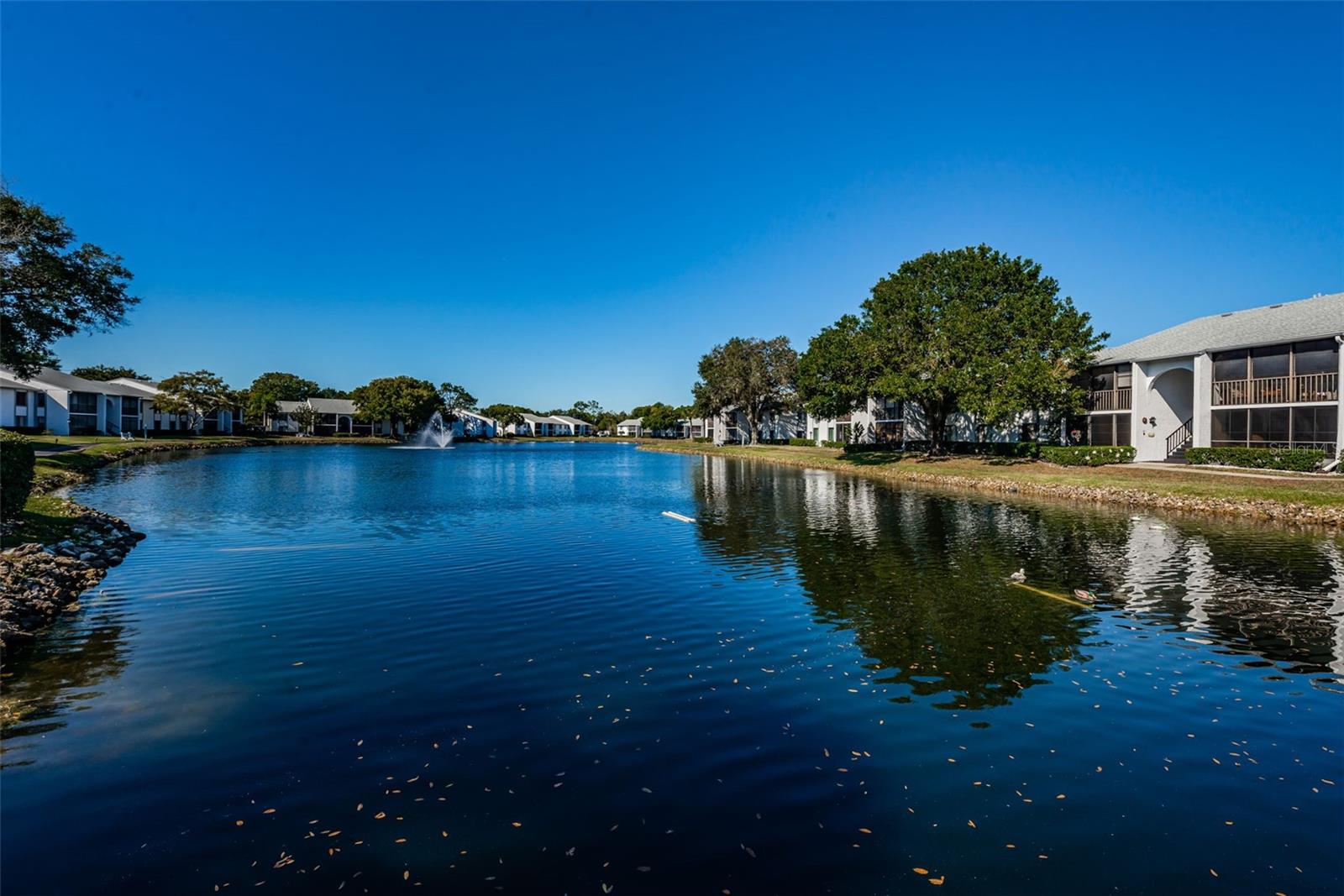 1151 PINE RIDGE CIR W #F1 — photo 43