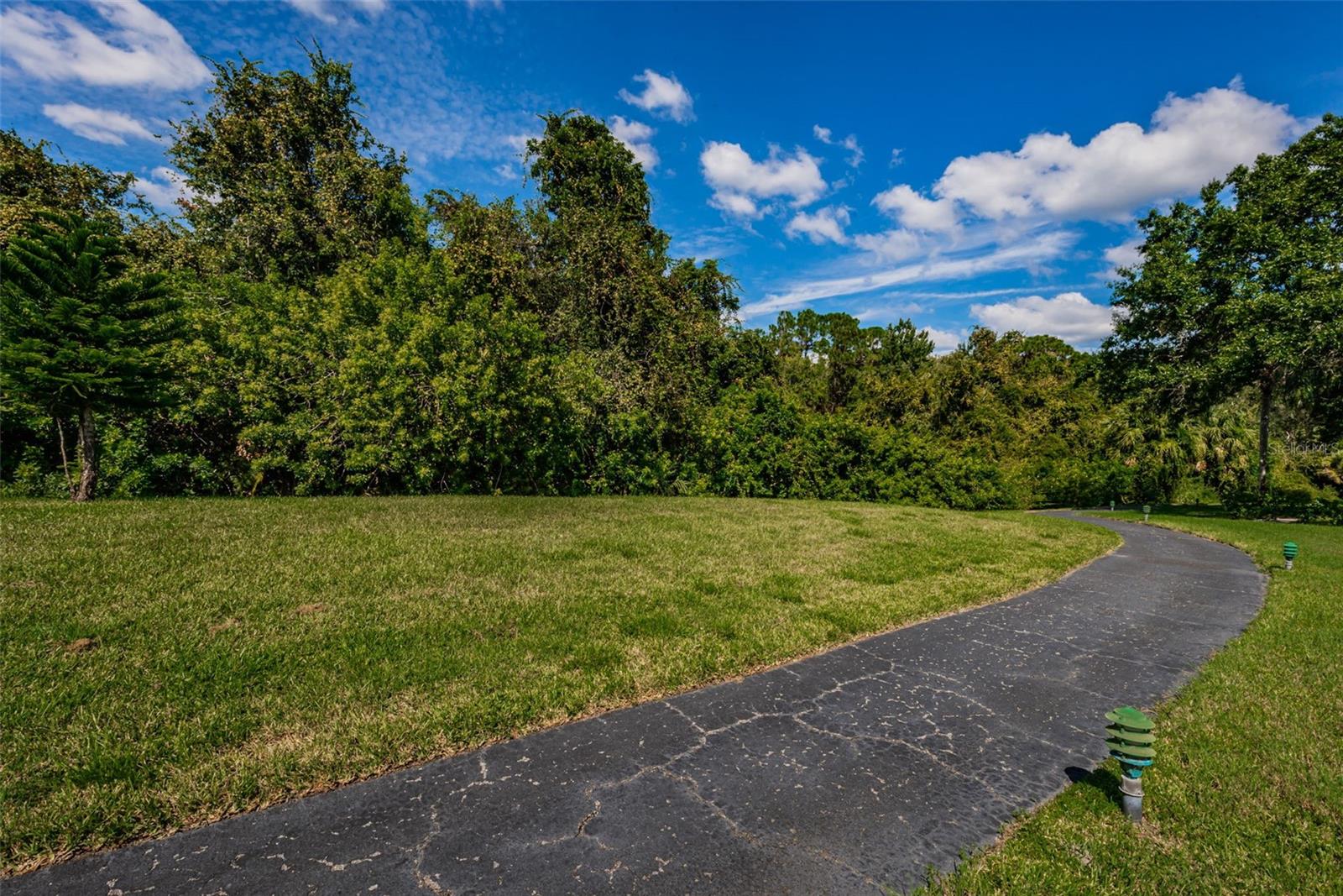 1151 PINE RIDGE CIR W #F1 — photo 46