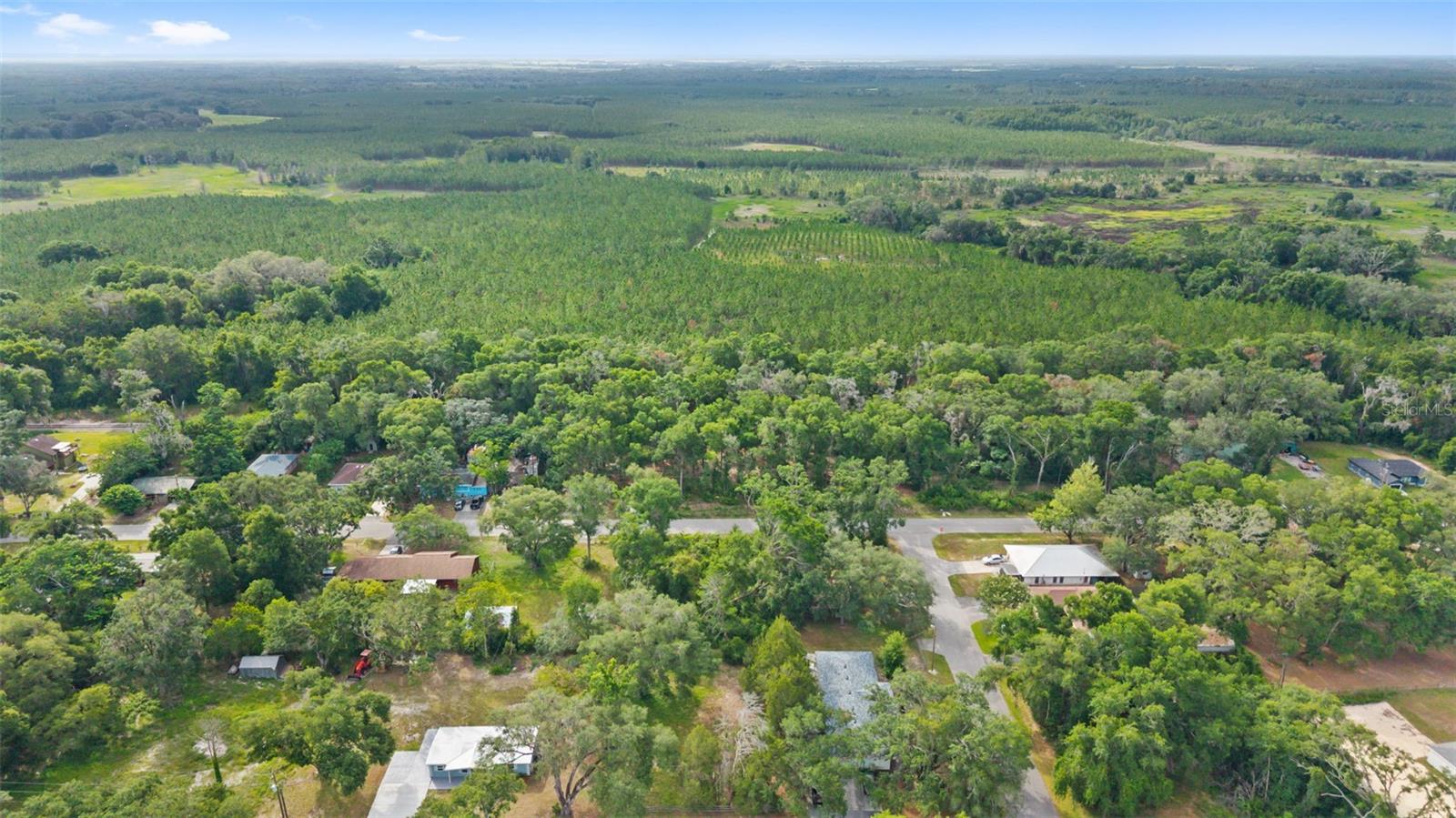 15177 SPOKANE RD — photo 4