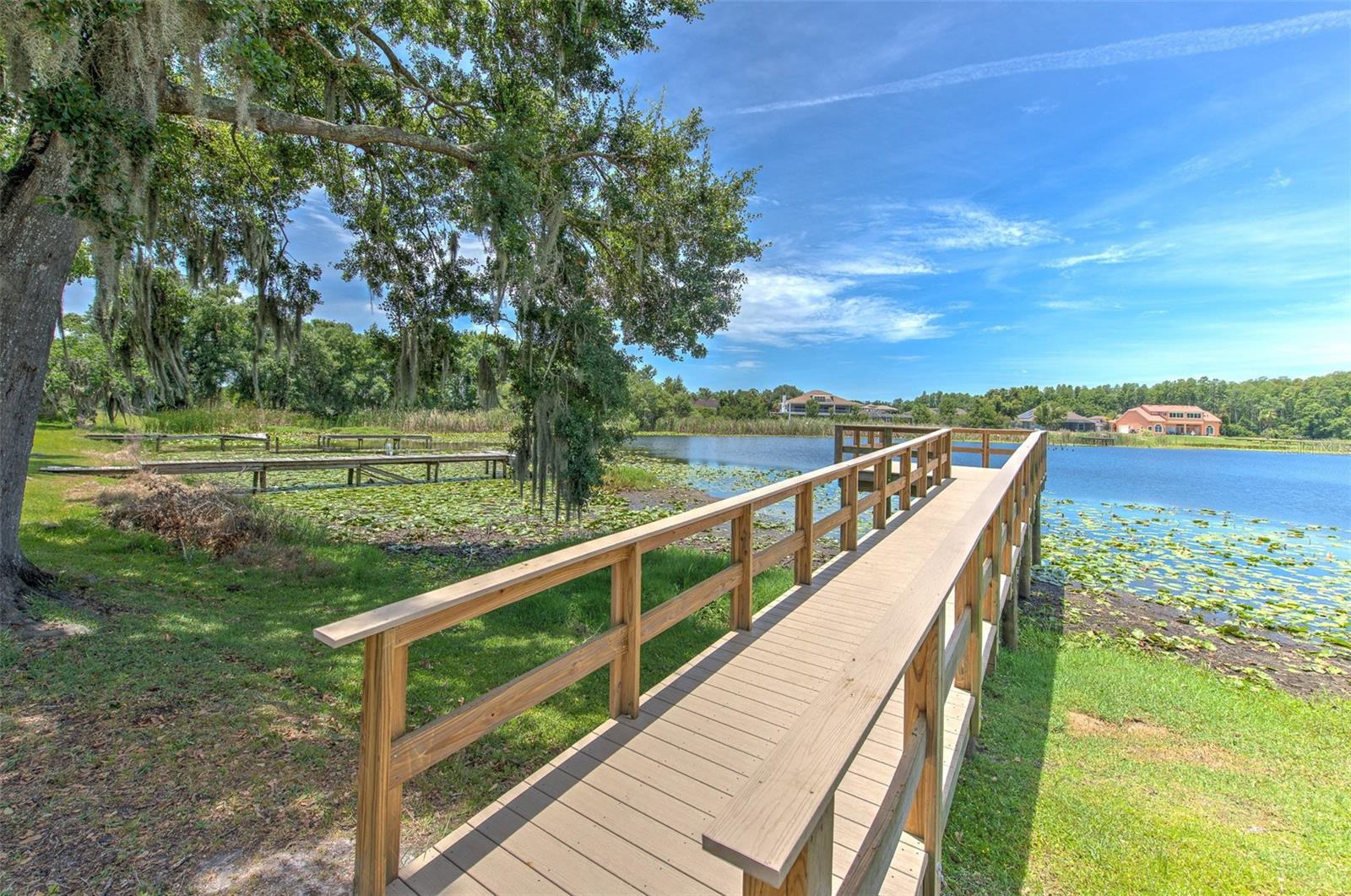 2459 SHOREWOOD LN — photo 4
