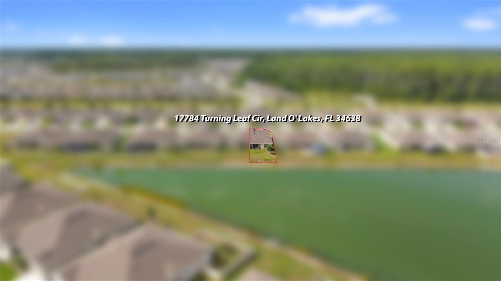 17784 TURNING LEAF CIR — photo 51