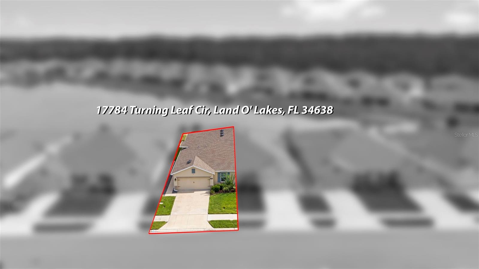 17784 TURNING LEAF CIR — photo 45