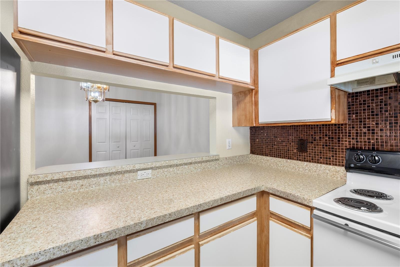 1907 FLUORSHIRE DR — photo 13