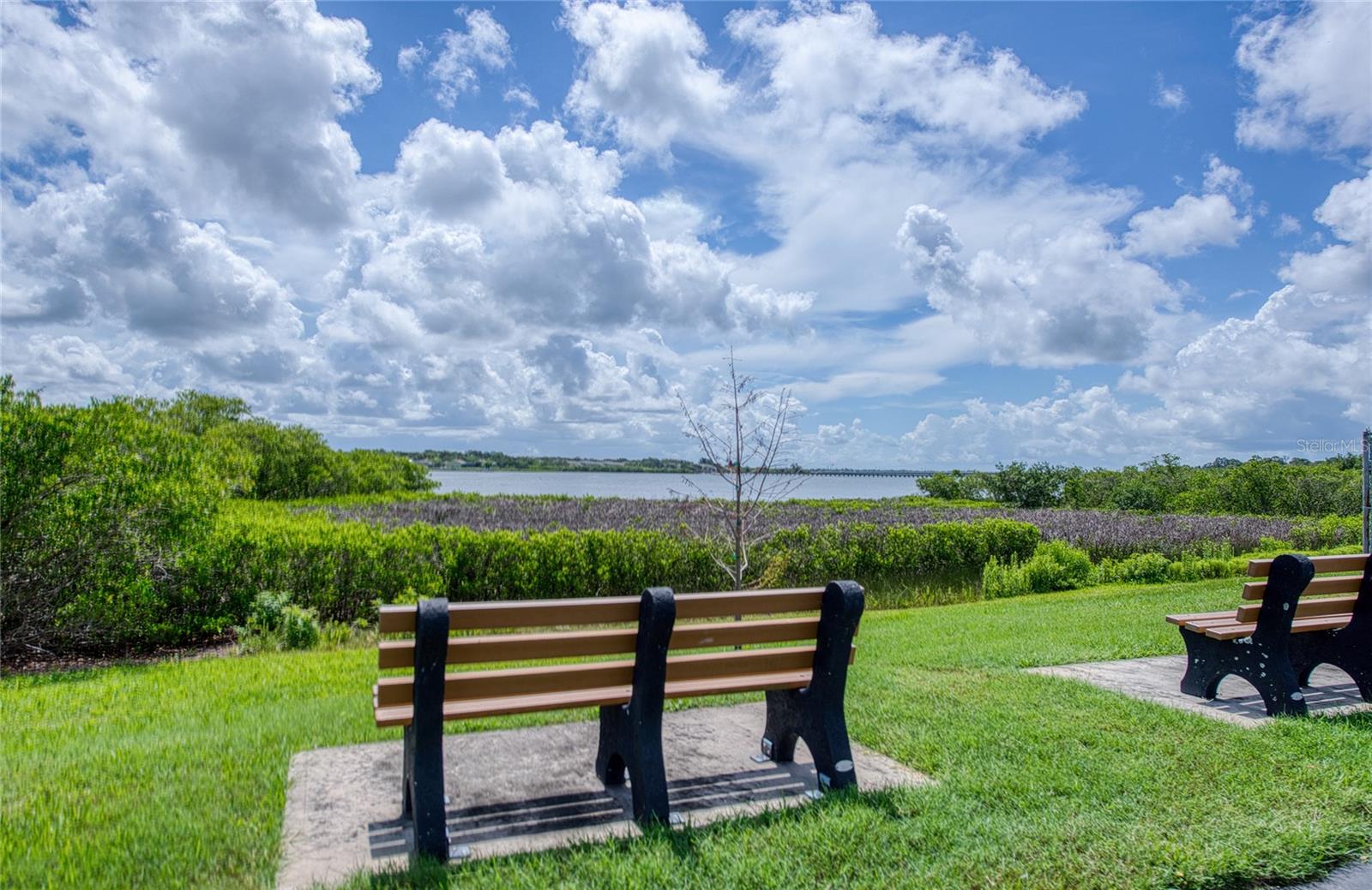 86 COTTAGEWOOD DR #36 — photo 48