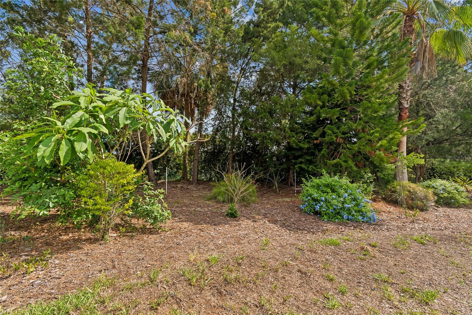 10919 TRELAIN WAY — photo 37