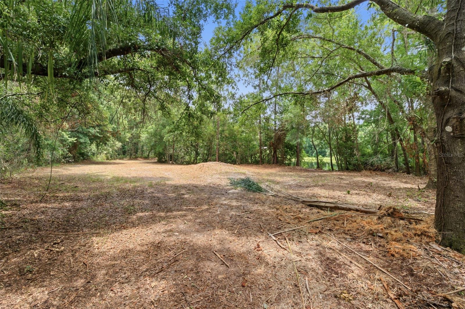6409 CHISWICK CT — photo 12
