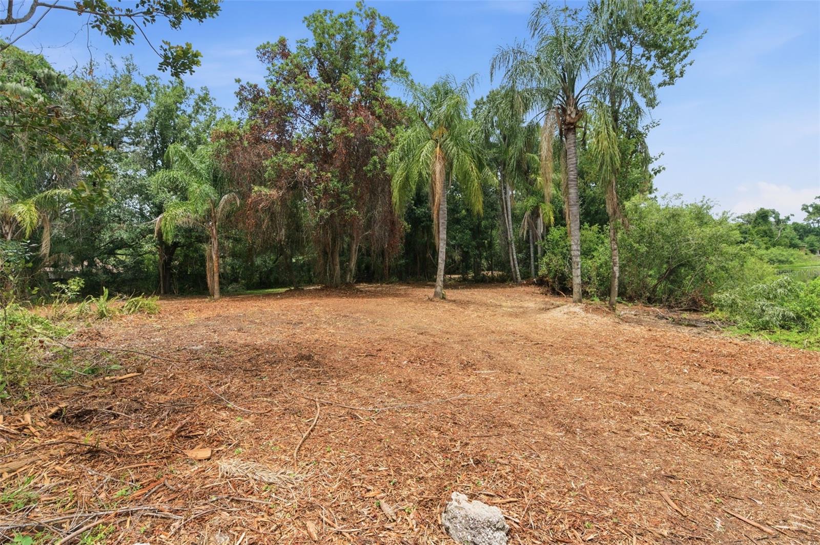 6409 CHISWICK CT — photo 14