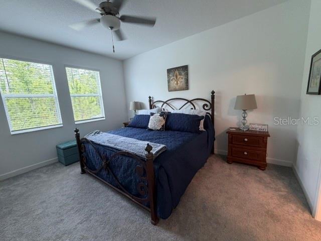 9760 MINNOW RAY DR — photo 13