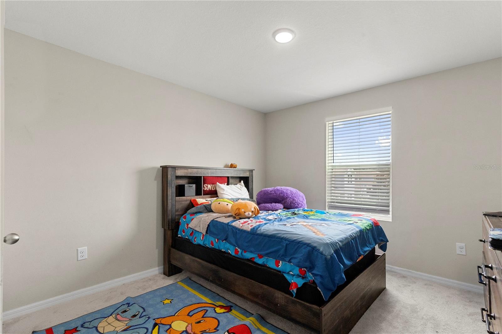 13109 FRUITVILLE WAY — photo 19