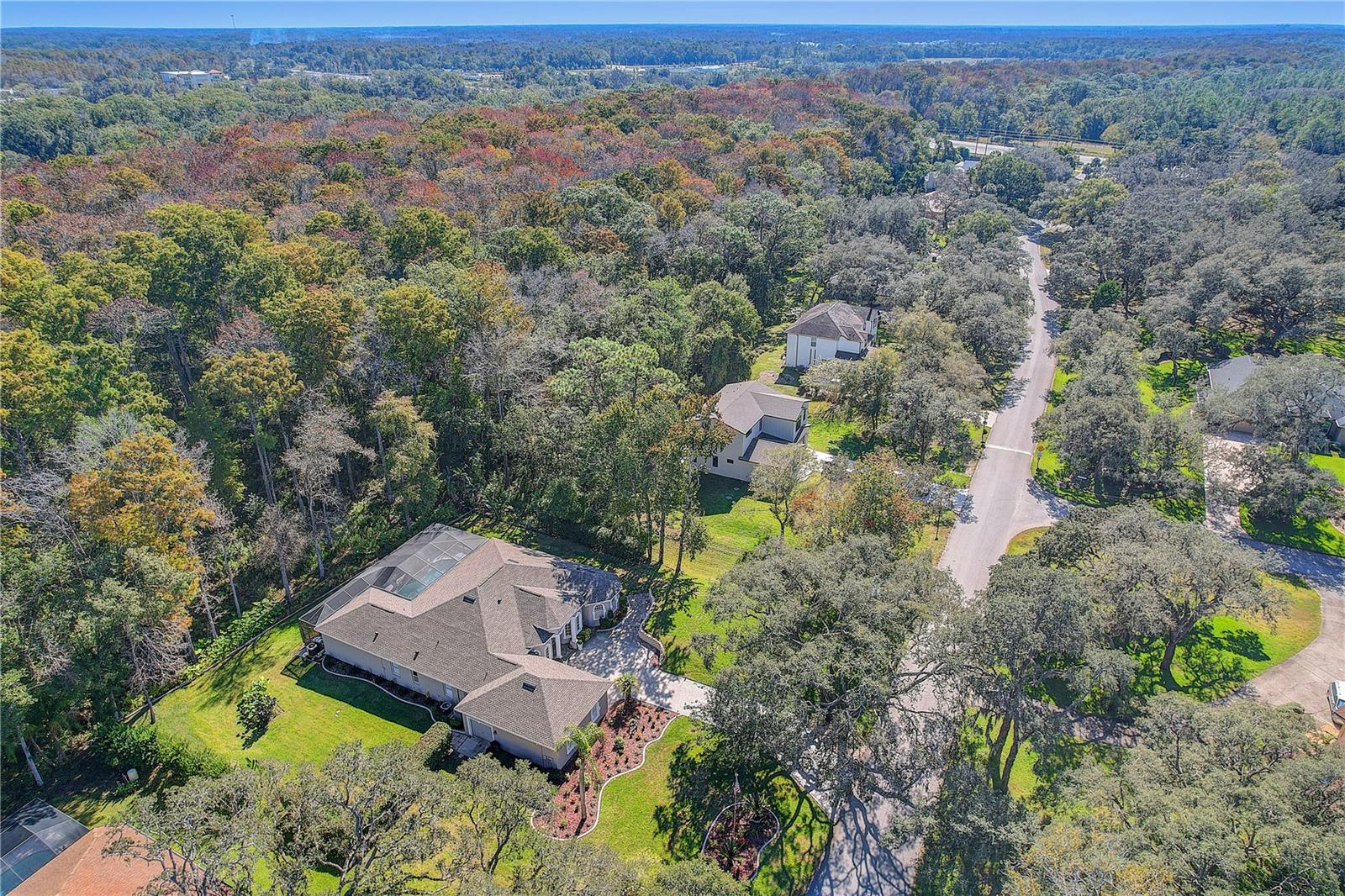 12054 QUAIL RIDGE DR — photo 54