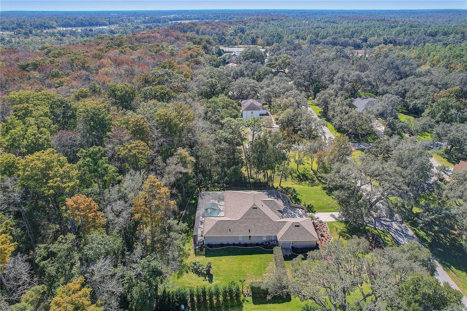 12054 QUAIL RIDGE DR — photo 67