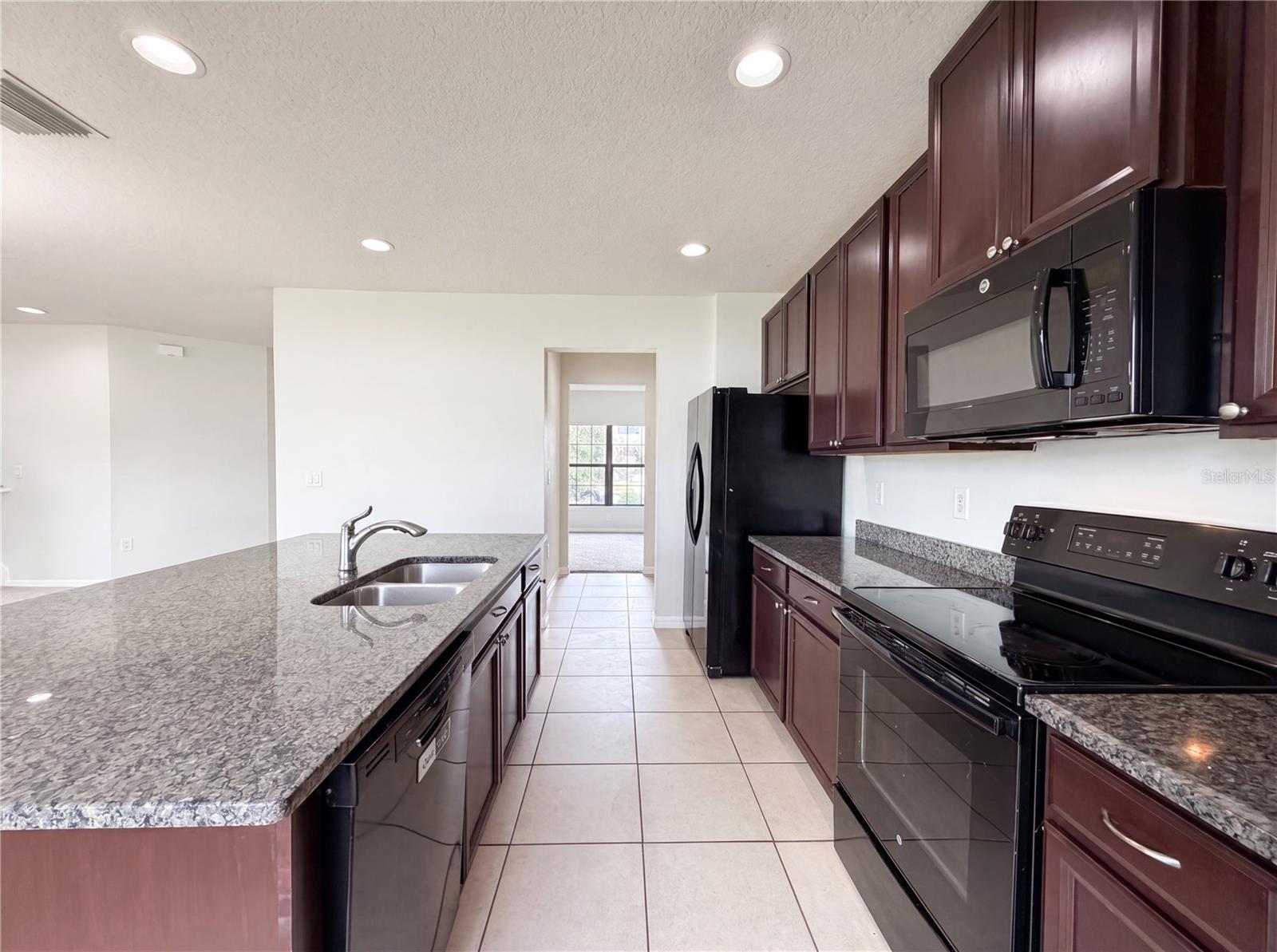 14207 ALISTAR MANOR DR — photo 10
