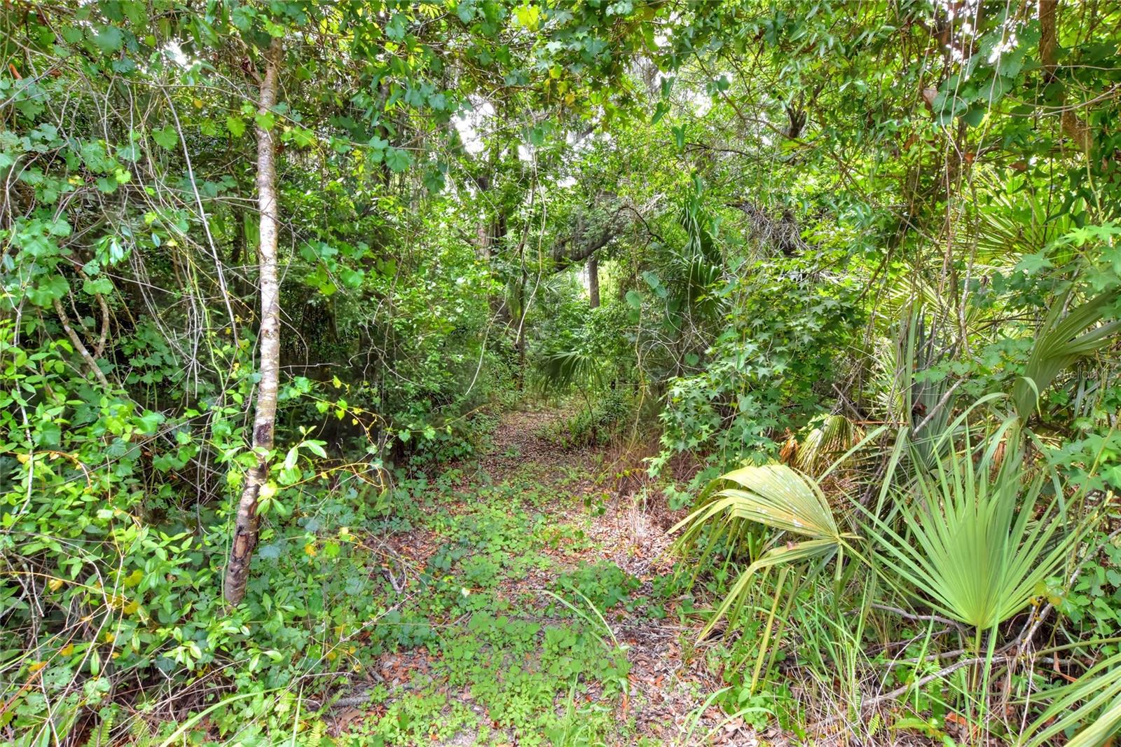 600 THOMPSON RD — photo 4