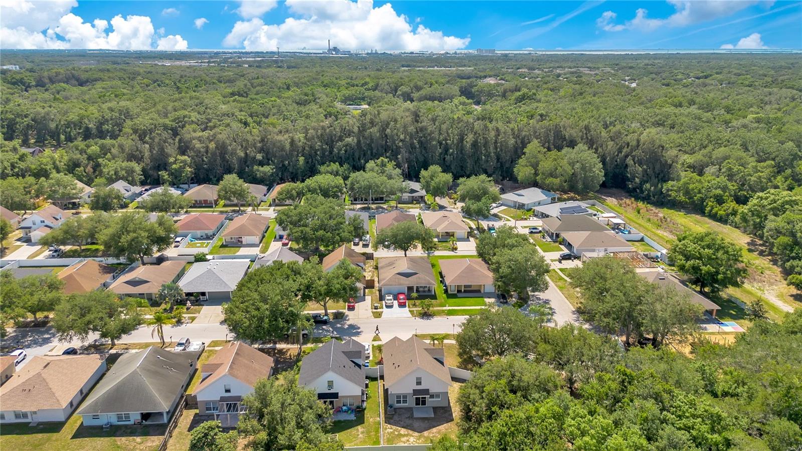 10225 SUMMERVIEW CIR — photo 29