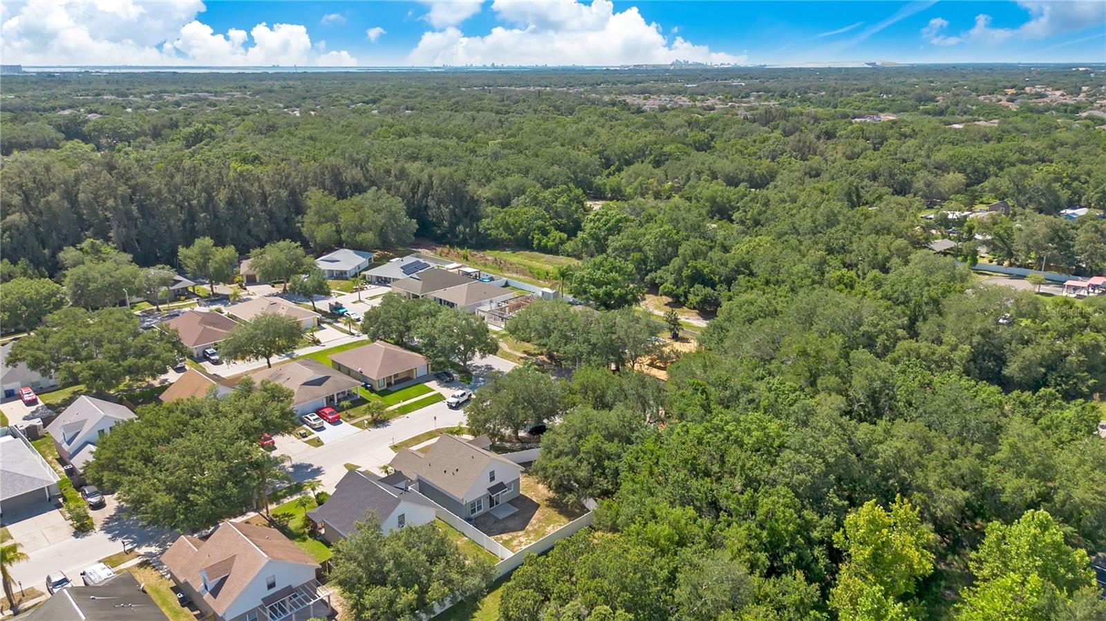 10225 SUMMERVIEW CIR — photo 30