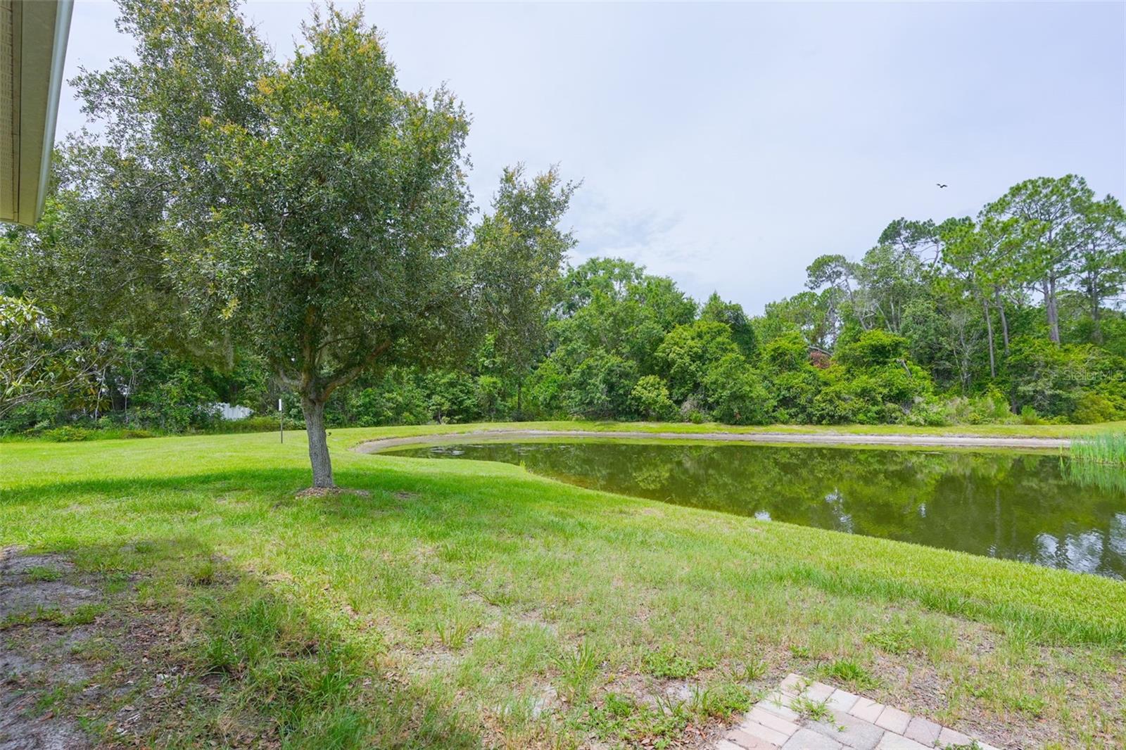 6019 EVANSBROOK DR — photo 7