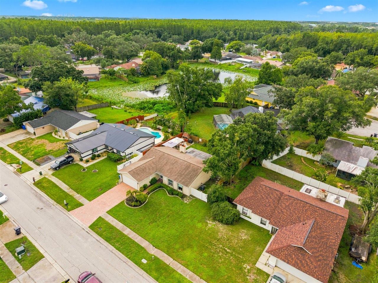 5309 BLACK PINE DR — photo 27