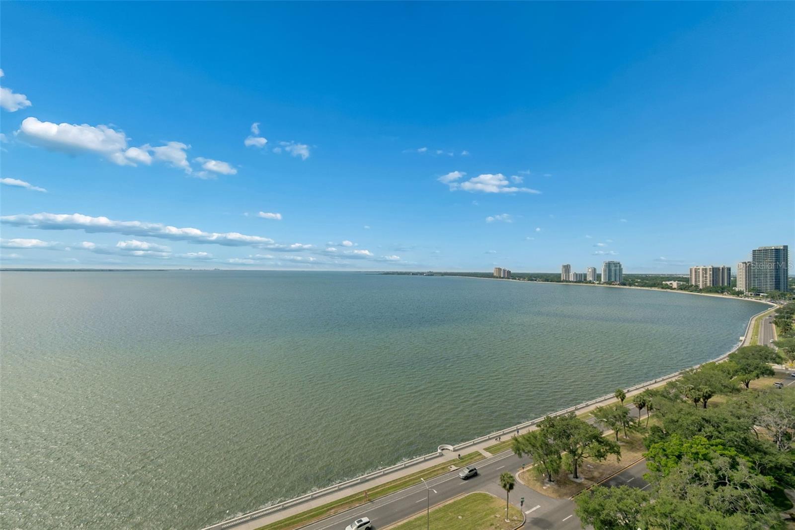 2413 BAYSHORE BLVD #1904 — photo 22
