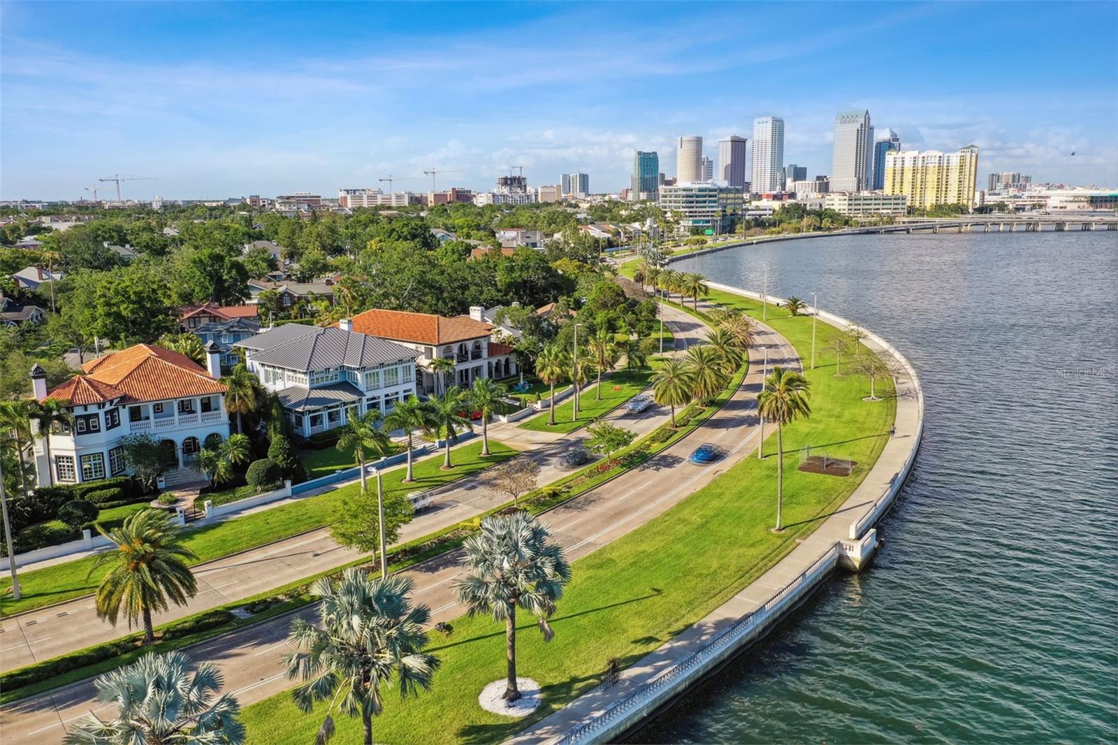 2413 BAYSHORE BLVD #1904 — photo 48