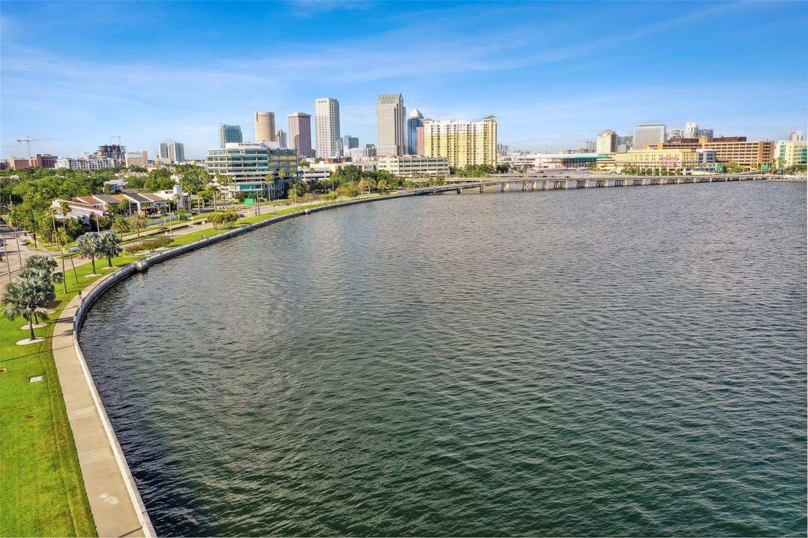 2413 BAYSHORE BLVD #1904 — photo 49