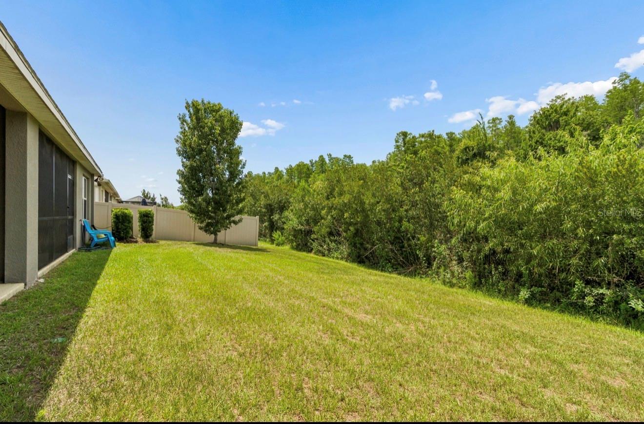 18307 TURNING LEAF CIR — photo 21