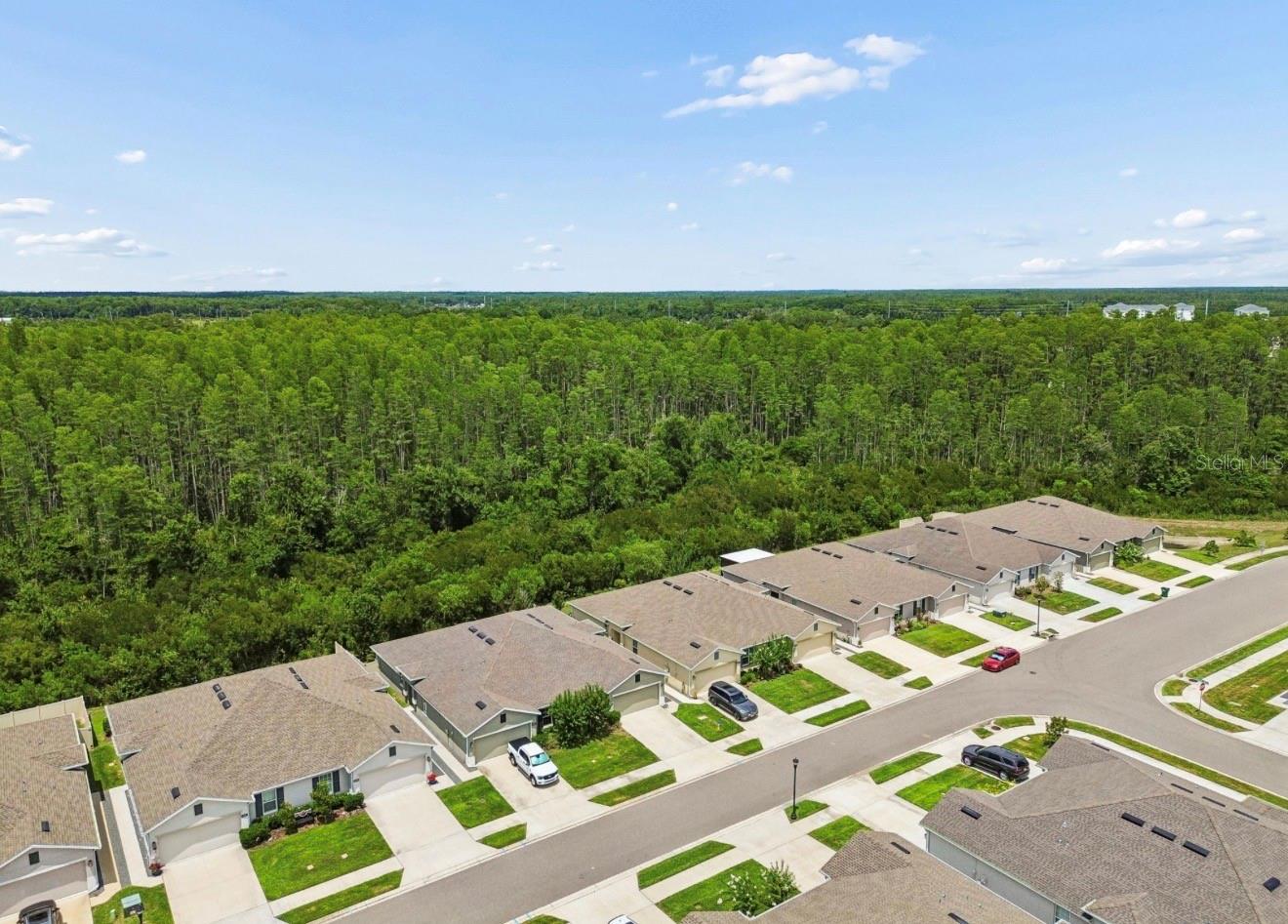 18307 TURNING LEAF CIR — photo 32