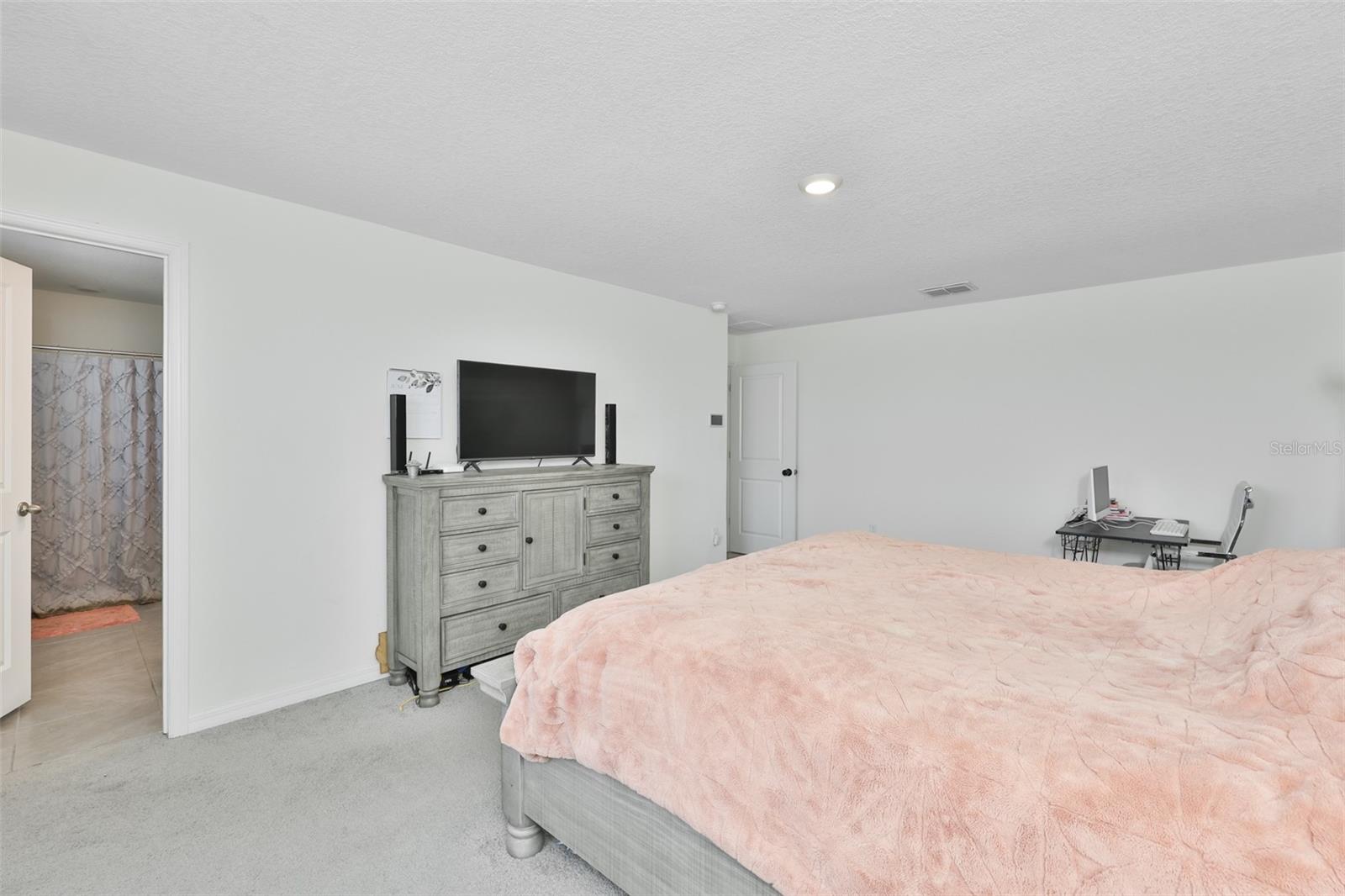5244 FIDDLE FIG AVE — photo 21