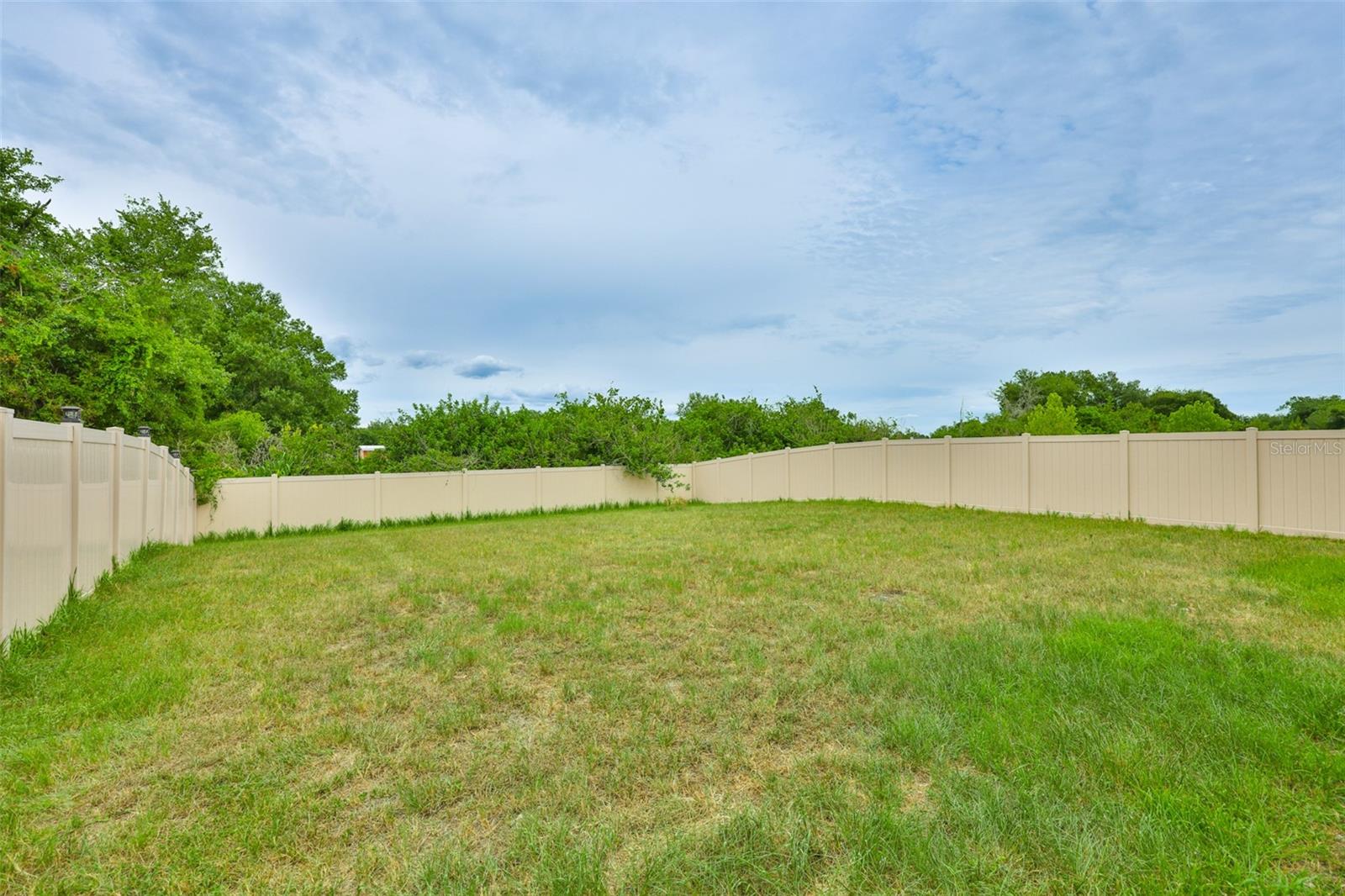 5244 FIDDLE FIG AVE — photo 34