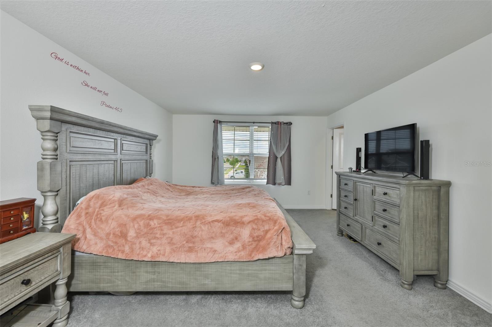 5244 FIDDLE FIG AVE — photo 19