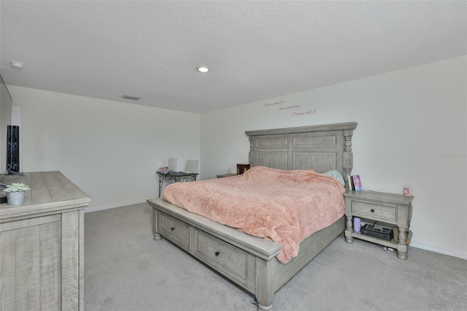 5244 FIDDLE FIG AVE — photo 20