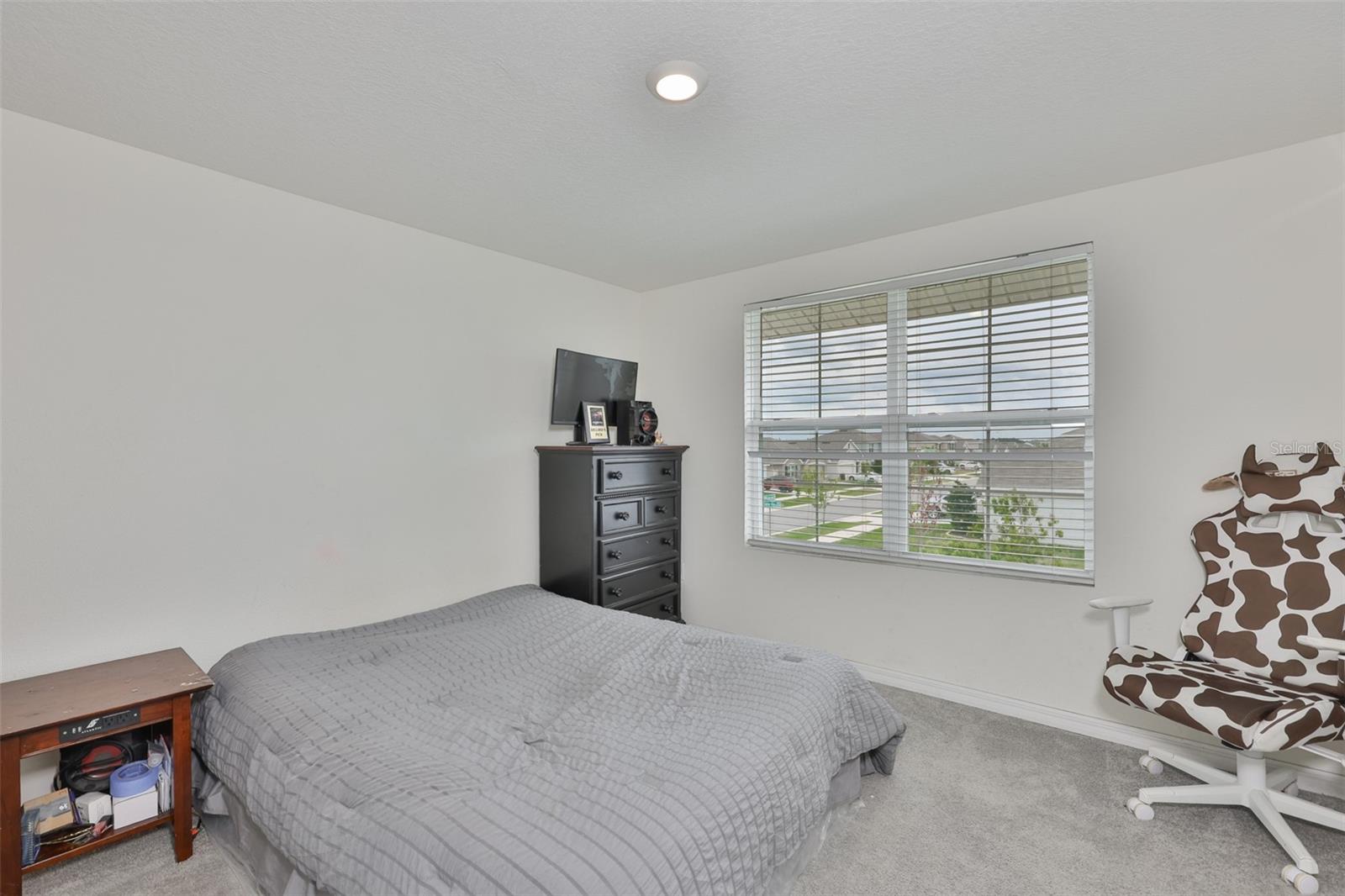 5244 FIDDLE FIG AVE — photo 30