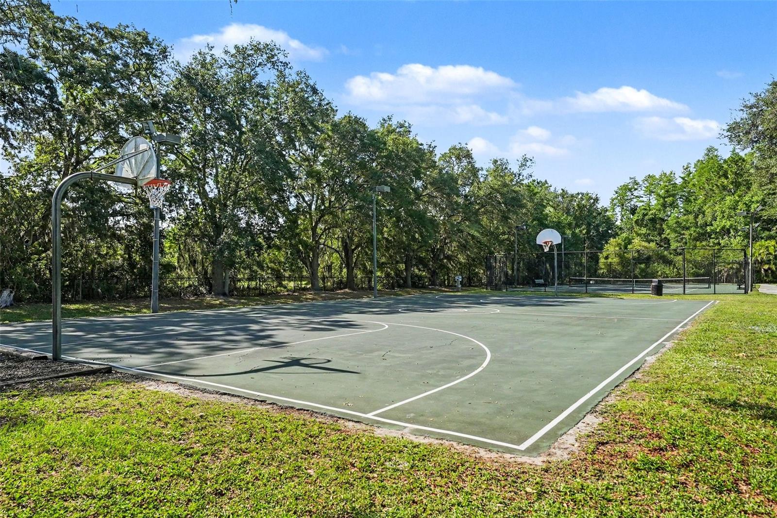 14906 MAN O WAR DR — photo 46