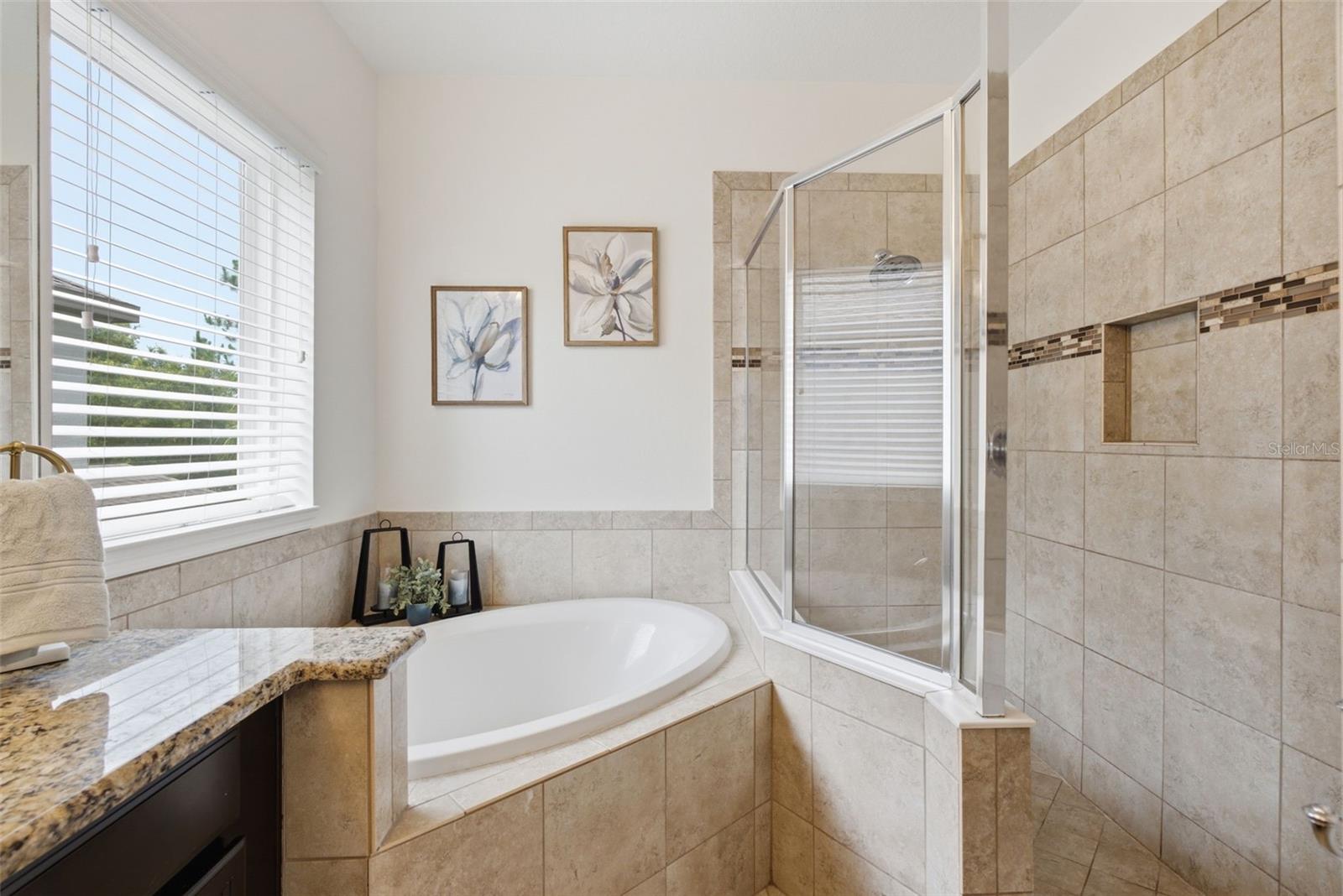 9323 BELLA VITA CIR — photo 41