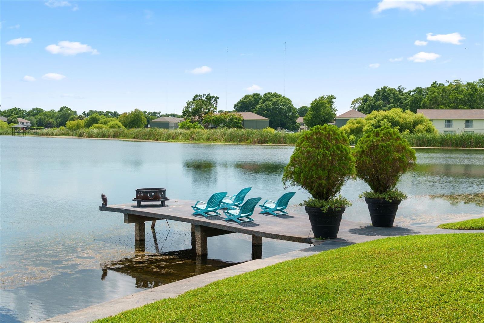 7302 EGYPT LAKE DR — photo 57