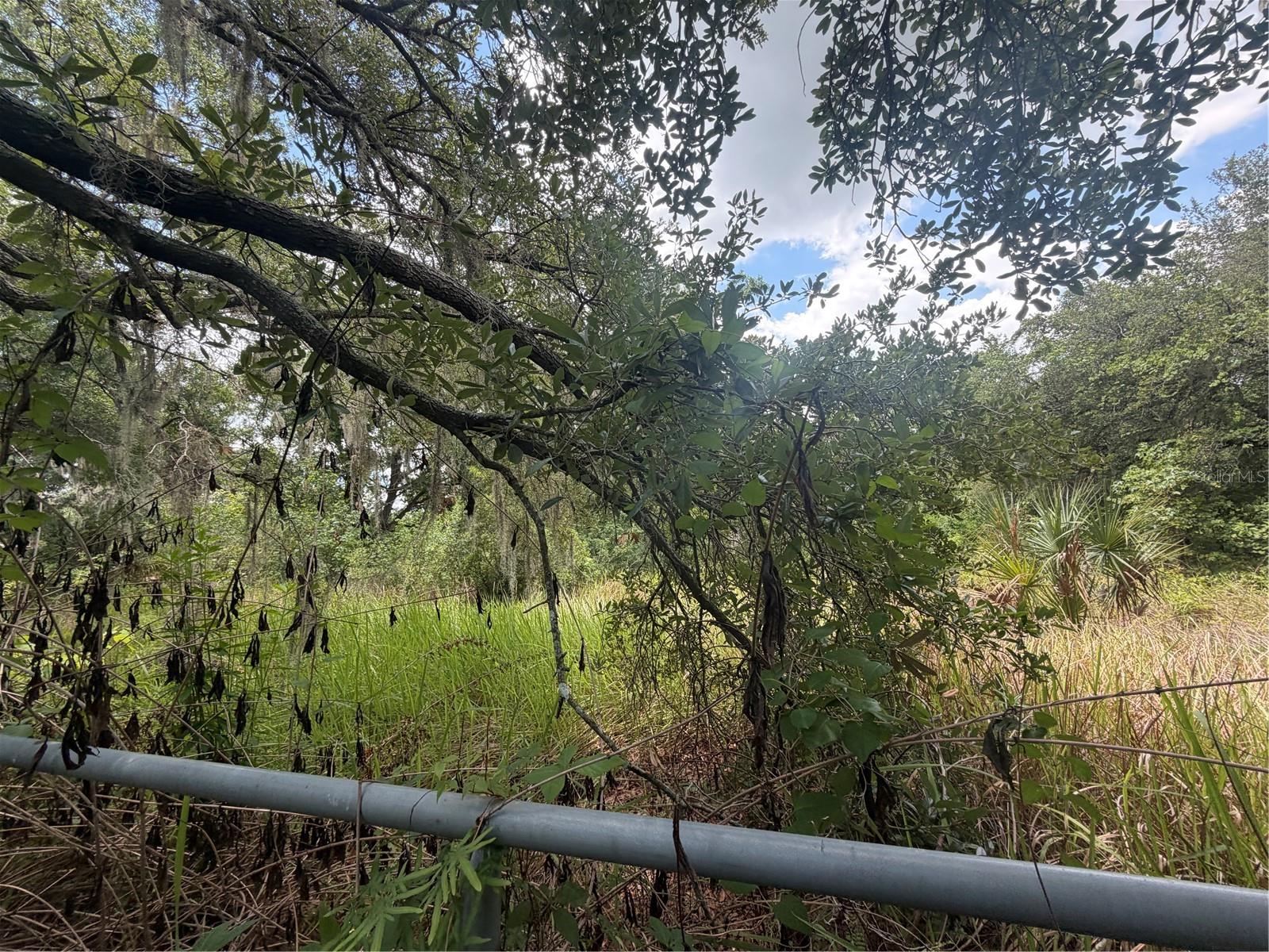 4447 EDWARDS RD — photo 4