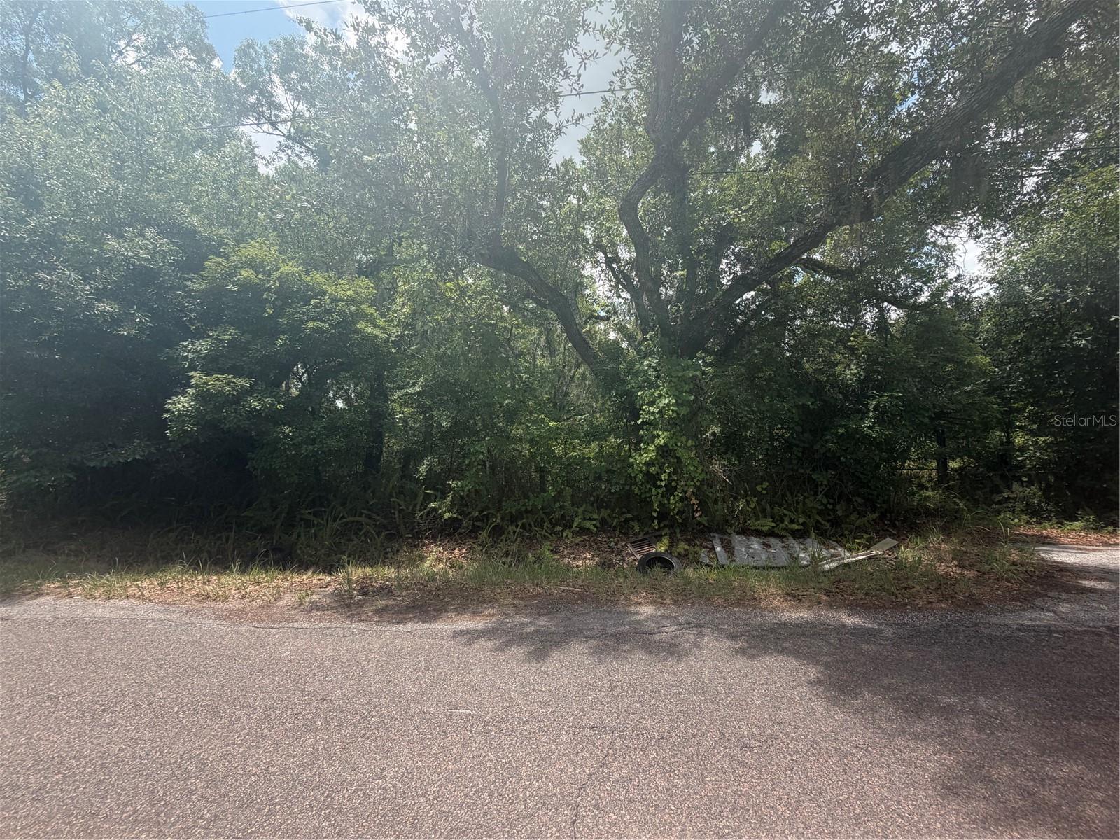 4447 EDWARDS RD — photo 2