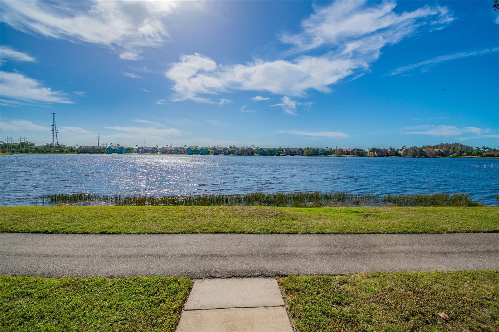 9064 LAKE CHASE ISLAND WAY — photo 56