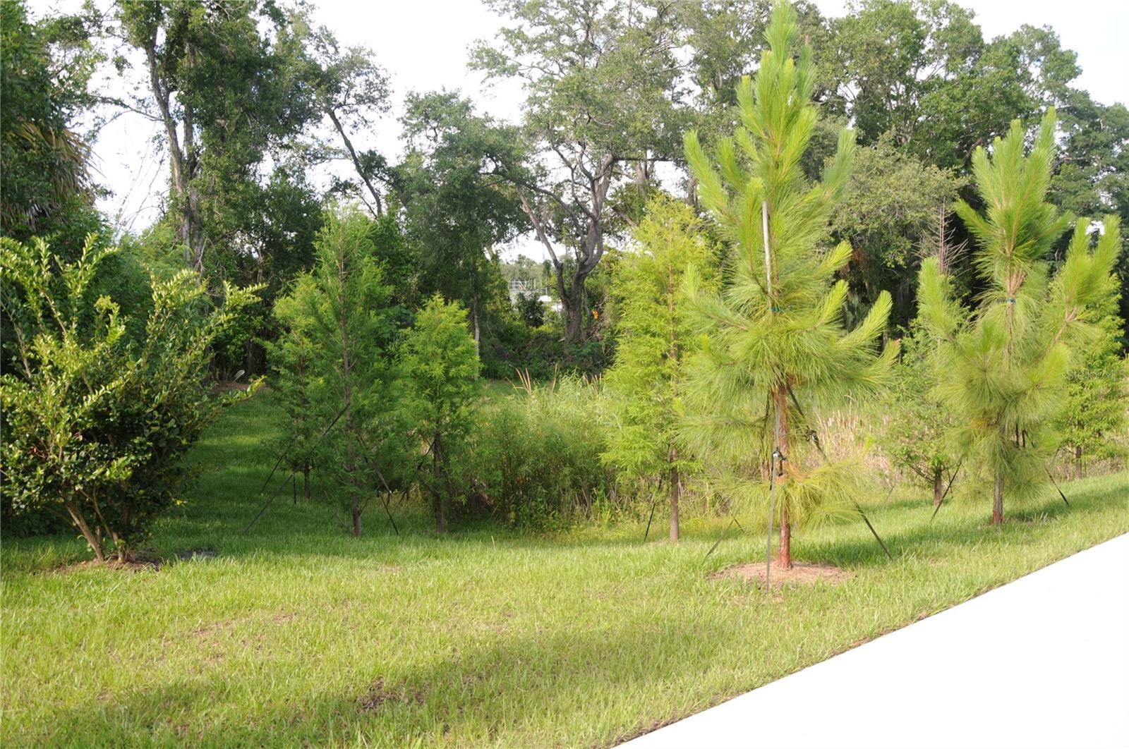 4341 CAMBIO GARDENS CT — photo 30