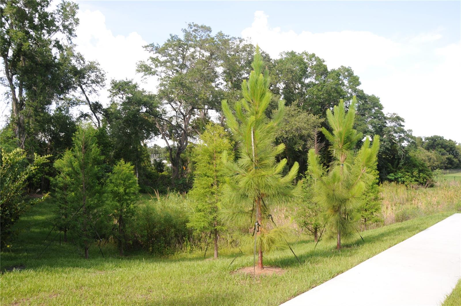 4341 CAMBIO GARDENS CT — photo 32