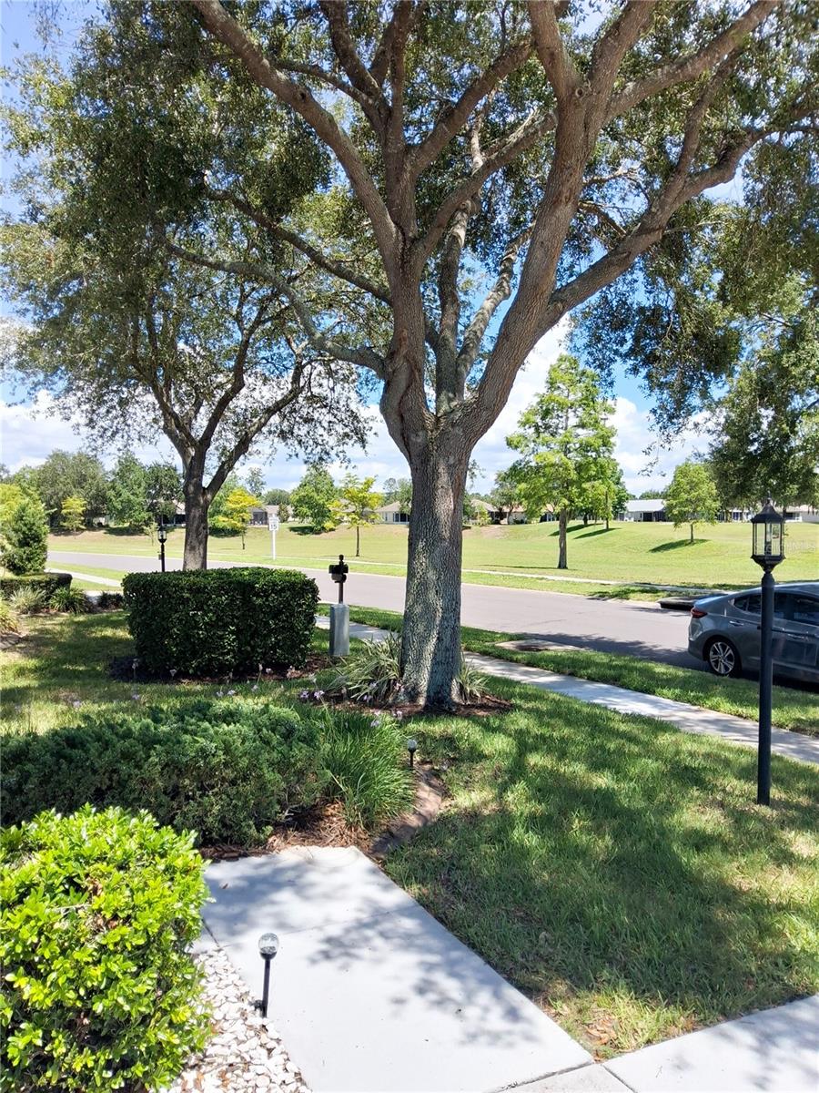11731 HERITAGE POINT DR — photo 27